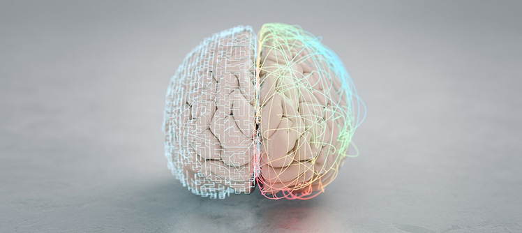 On a soft grey background is a photo of a human brain with different patterns of lines drawn across each half of the brain; The right half shows neuron connections in a human brain (a natural neural network).  The left half shows a circuit board pattern, representing artificial neural networks.